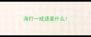 海打一成语是什么