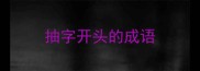 抽字开头的成语