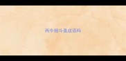 两牛相斗是成语吗