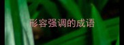 形容强调的成语