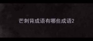 芒刺背成语有哪些成语