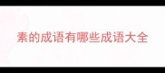 素的成语有哪些成语大全