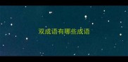 双成语有哪些成语