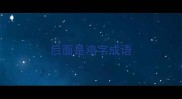 后面是鸡字成语