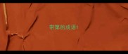 带第的成语