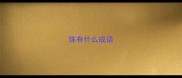 珠有什么成语