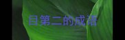 目第二的成语