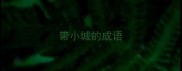 带小城的成语