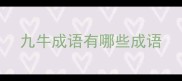 九牛成语有哪些成语