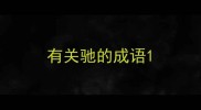 有关驰的成语