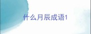 什么月辰成语
