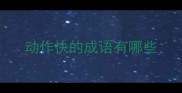 动作快的成语有哪些