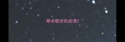 尊老敬老的成语
