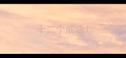 十二个成语