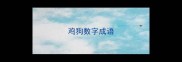 鸡狗数字成语