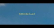 狗结尾的成语什么成语