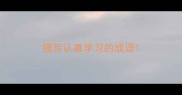 描写认真学习的成语
