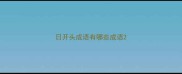 日开头成语有哪些成语