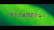两个宫成语是什么