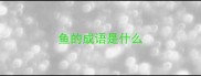 鱼的成语是什么