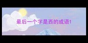 最后一个字是西的成语