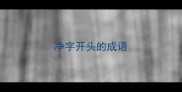 净字开头的成语