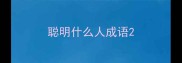 聪明什么人成语