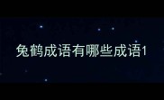 兔鹤成语有哪些成语