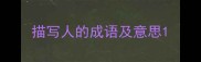 描写人的成语及意思