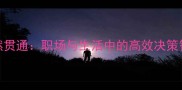 一然贯通职场与生活中的高效决策智慧