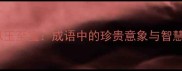 如金似玉至宝成语中的珍贵意象与智慧传承