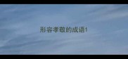 形容孝敬的成语