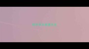 枝字开头成语大全