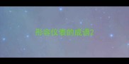 形容仪表的成语