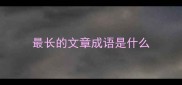 最长的文章成语是什么