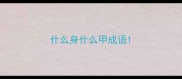 什么身什么甲成语