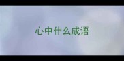 心中什么成语