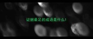 证据最足的成语是什么