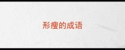 形瘦的成语