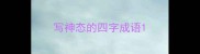 写神态的四字成语