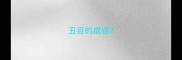 丑百的成语