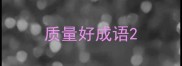 质量好成语