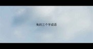 兔的三个字成语
