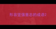 形容坚强意志的成语