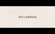 很开心的意思成语