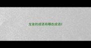 龙首的成语有哪些成语