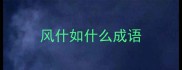 风什如什么成语