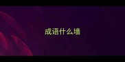 成语什么墙