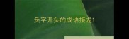 负字开头的成语接龙