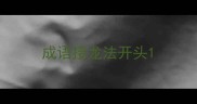 成语接龙法开头